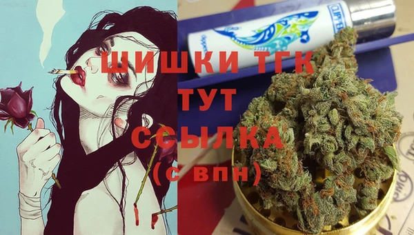 ПСИЛОЦИБИНОВЫЕ ГРИБЫ Балабаново