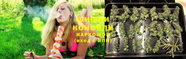 ПСИЛОЦИБИНОВЫЕ ГРИБЫ Балабаново