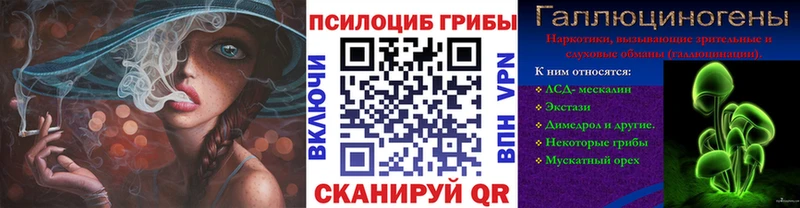 Галлюциногенные грибы Psilocybine cubensis Саратов