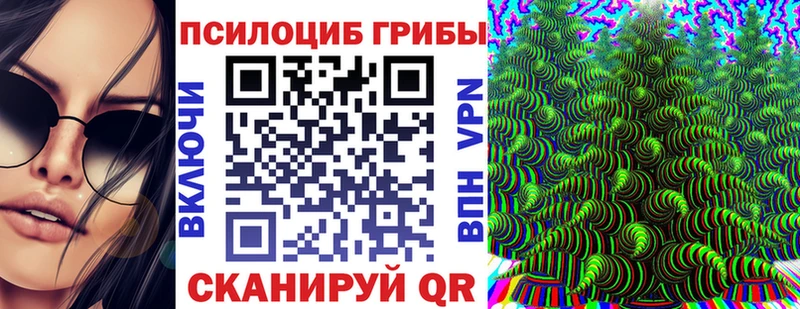 закладки  Саратов  Псилоцибиновые грибы GOLDEN TEACHER 